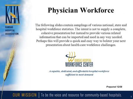 1 Physician Workforce The following slides contain samplings of various national, state and hospital workforce statistics. The intent is not to supply.