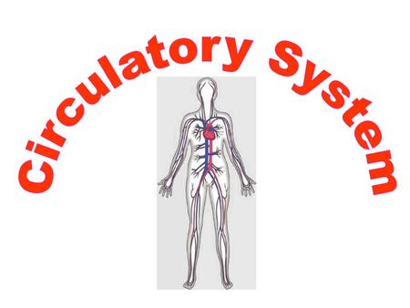 Li I know the function, components as well as structure of the circulatory system. I can -Define what the circulatory system is. -I can name the major.