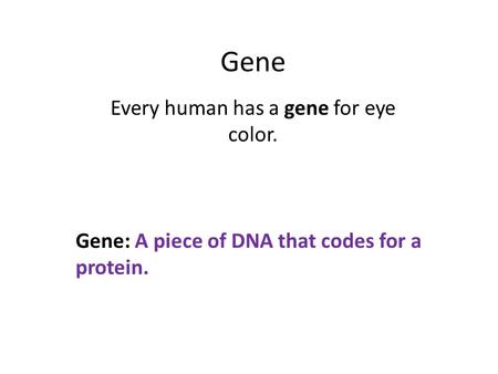 Gene Every human has a gene for eye color. Gene: A piece of DNA that codes for a protein.
