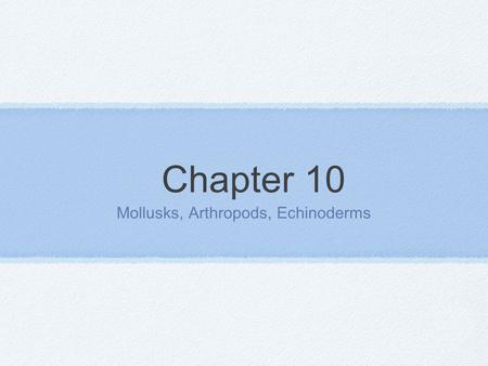 Chapter 10 Mollusks, Arthropods, Echinoderms. Mollusks Characteristics of Mollusks *Invertebrates *Often protected by a hard outer shell *Soft body *Thin.
