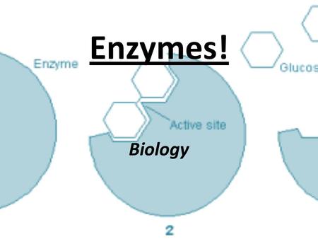 Enzymes! Biology.