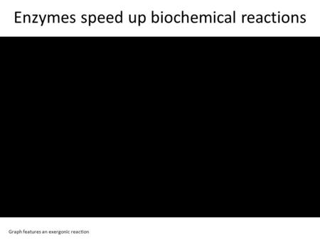 Enzymes speed up biochemical reactions