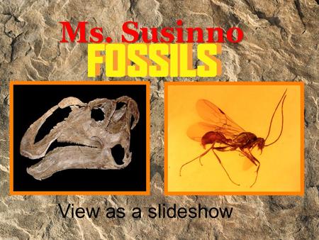Ms. Susinno View as a slideshow What is a fossil? Fossils give clues about organisms that lived long ago. They help to show that evolution has occurred.