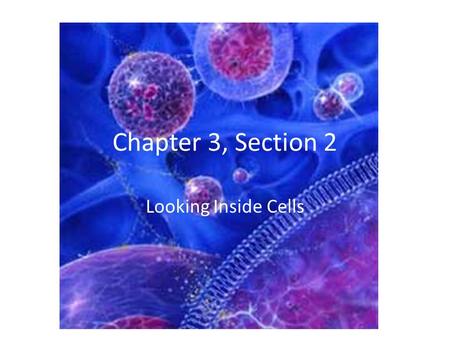 Chapter 3, Section 2 Looking Inside Cells. Organelles Small structures within the cell that carry out specific functions Think of the cell as a factory!