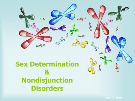 Sex Determination & Nondisjunction Disorders June 13, 2016.