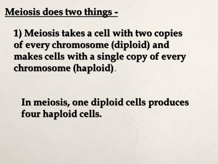Meiosis does two things - 1) Meiosis takes a cell with two copies of every chromosome (diploid) and makes cells with a single copy of every chromosome.