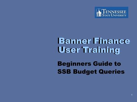 1 Banner Finance User Training Beginners Guide to SSB Budget Queries Banner Finance User Training.