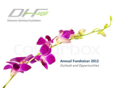 Annual Fundraiser 2012 Outlook and Opportunities.
