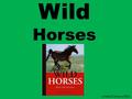 Wild Horses LindaC/Callison/2011. Other books by Chris Peterson... and more.