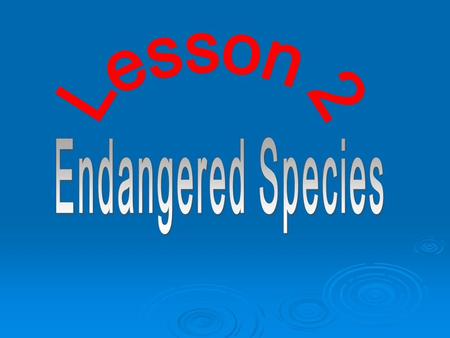 A B C D E F Exercise 1 Match the names of the endangered species with their pictures? 1.Giant panda 2.Yangtze dolphin 3.Crested ibis 4.Snow leopard 5.Bengal.