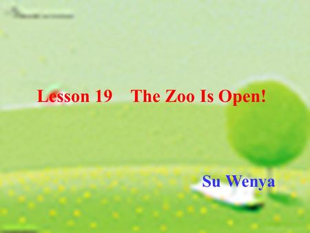 Lesson 19 The Zoo Is Open! Su Wenya. petsquirrelgoose duckgorilla zebra.