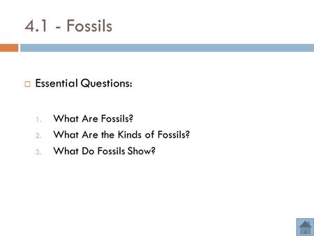 4.1 - Fossils  Essential Questions: 1. What Are Fossils? 2. What Are the Kinds of Fossils? 3. What Do Fossils Show?