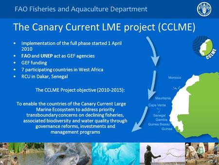 FAO Fisheries and Aquaculture Department The Canary Current LME project (CCLME) Implementation of the full phase started 1 April 2010 FAO and UNEP act.