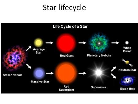 Star lifecycle. Star Lifecycle Some background Knowledge:  Nuclear fusion - combining smaller elements into larger elements. Leftover mass is converted.