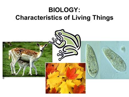 BIOLOGY: Characteristics of Living Things. 1. Living Things are Made up of Cells. CELL: Collection of living material enclosed within a barrier Cells.