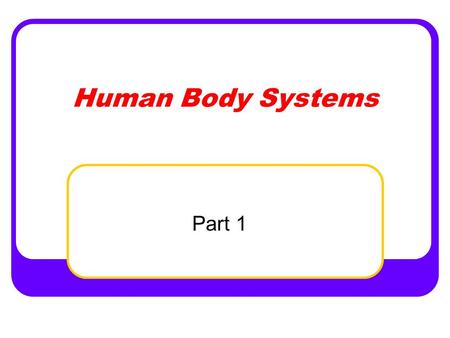 Human Body Systems Part 1. Remember… All systems must work together in order to correlate all bodily functions Each body system is dependent upon on all.