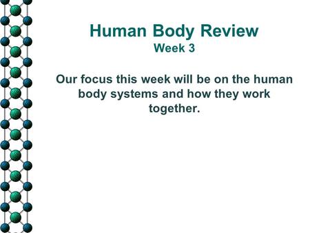 Human Body Review Week 3 Our focus this week will be on the human body systems and how they work together.