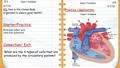 4/7/16 Starter/Practice: 213 214 Connection/ Exit: Heart foldable Practice /application: What are the 4 types of cells that are produced by the circulatory.
