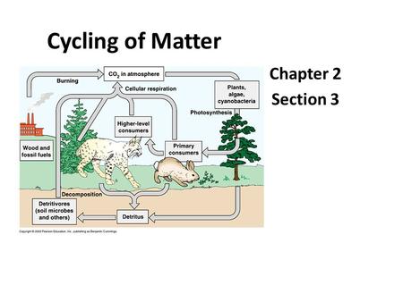 Cycling of Matter Chapter 2 Section 3.
