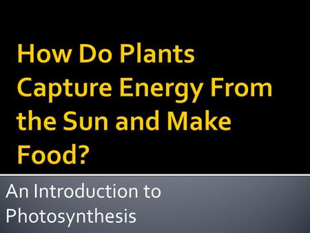An Introduction to Photosynthesis. BENCHMARKS: OBJECTIVES:  I will state the overall equation of photosynthesis.  I will explain how photosynthesis.
