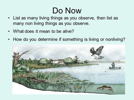 Do Now List as many living things as you observe, then list as many non living things as you observe. What does it mean to be alive? How do you determine.