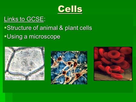 Links to GCSE: Structure of animal & plant cells Using a microscope