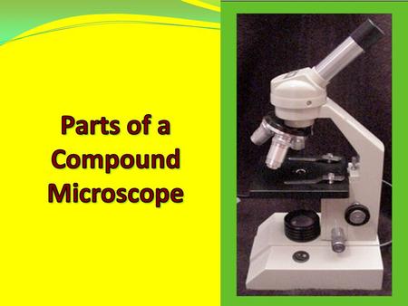 1. Eyepiece – 10x magnification Rotates to move pointer 2. Body Tube – carries image to ocular lens in eyepiece.