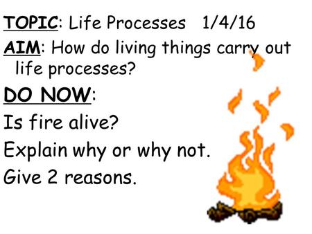 DO NOW: Is fire alive? Explain why or why not. Give 2 reasons.