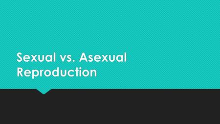 Sexual vs. Asexual Reproduction. Extra chromosomes allow all female lizards to reproduce without males  double their chromosomes twice before everything.