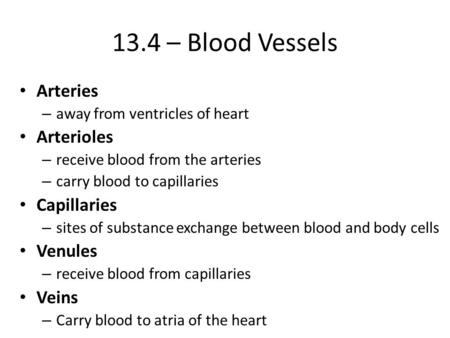 13.4 – Blood Vessels Arteries Arterioles Capillaries Venules Veins