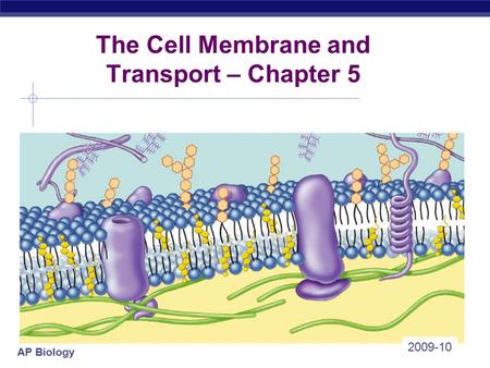 The Cell Membrane and Transport – Chapter 5