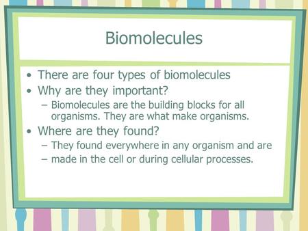 Biomolecules There are four types of biomolecules Why are they important? –Biomolecules are the building blocks for all organisms. They are what make organisms.