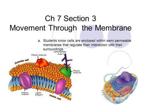 Ch 7 Section 3 Movement Through the Membrane a.Students know cells are enclosed within semi permeable membranes that regulate their interaction with their.