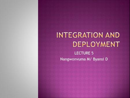 LECTURE 5 Nangwonvuma M/ Byansi D. Components, interfaces and integration Infrastructure, Middleware and Platforms Techniques – Data warehouses, extending.