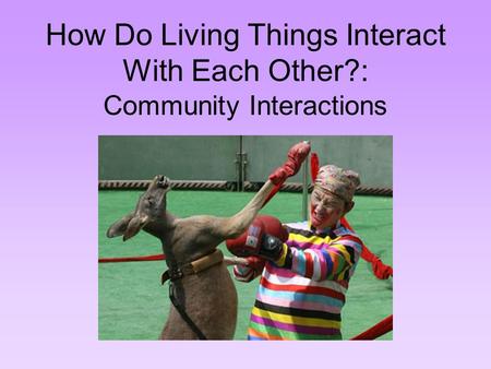 How Do Living Things Interact With Each Other?: Community Interactions.