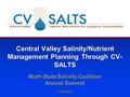 Central Valley Salinity/Nutrient Management Planning Through CV- SALTS Multi-State Salinity Coalition Annual Summit 2/19/2010.