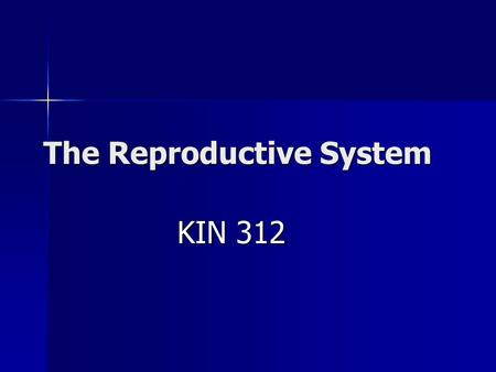 The Reproductive System KIN 312. Anatomy of the Male.
