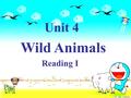 Unit 4 Wild Animals Reading I A riddle We are beautiful black and white animals.We look like bears. We live only in China. Our favourite food is bamboo.