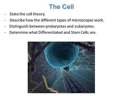 The Cell - State the cell theory. - Describe how the different types of microscopes work. -Distinguish between prokaryotes and eukaryotes. -Determine what.