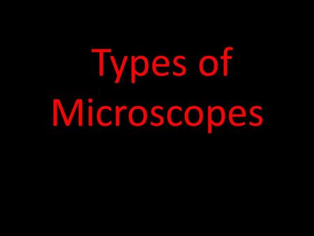 Types of Microscopes. Compound Light Microscope Scanning Electron Microscope Scan the surface of cells.