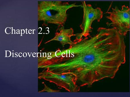 Chapter 2.3 Discovering Cells POINT > Identify how cells were discovered POINT > Describe how different microscopes work POINT > Describe the development.
