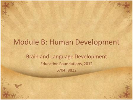 Module B: Human Development Brain and Language Development Education Foundations, 2012 6704, 8822.