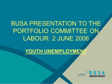 BUSA PRESENTATION TO THE PORTFOLIO COMMITTEE ON LABOUR: 2 JUNE 2006 YOUTH UNEMPLOYMENT.