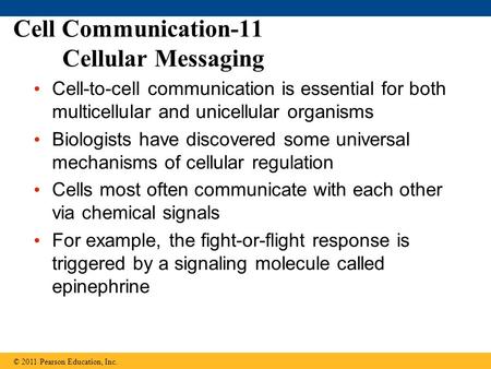 Cell Communication-11 Cellular Messaging Cell-to-cell communication is essential for both multicellular and unicellular organisms Biologists have discovered.