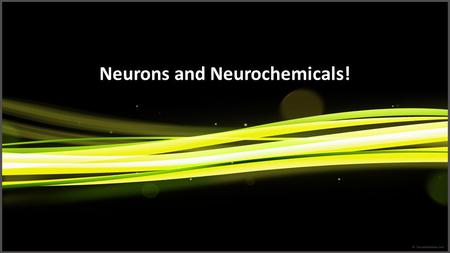 Neurons and Neurochemicals!. What is a Neuron Basic cells of the brain.