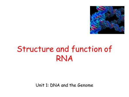 Unit 1: DNA and the Genome Structure and function of RNA.