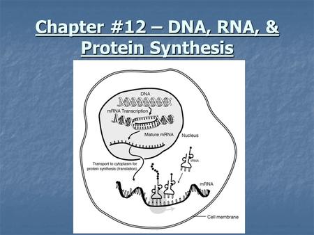 Chapter #12 – DNA, RNA, & Protein Synthesis. I. DNA – experiments & discoveries A. Griffith and Transformation Frederick Griffith – British scientist.