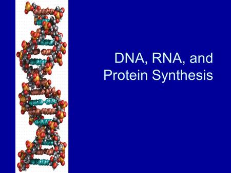 DNA, RNA, and Protein Synthesis. What is DNA? DNA- Deoxyribonucleic Acid Function is to store and transmit hereditary information. In prokaryotes- located.