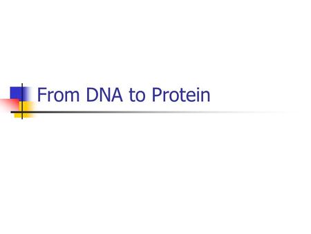 From DNA to Protein. DNA Review Nucleic acid Double helix Two strands of nucleotides Phosphate-sugar backbone Nitrogenous base steps Adenine Guanine Cytosine.