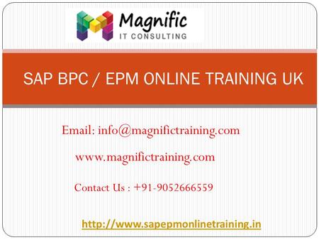 SAP BPC / EPM ONLINE TRAINING UK    Contact Us : +91-9052666559